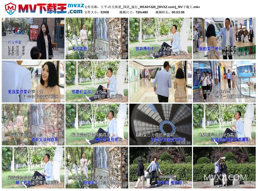 王平-红尘所爱_国语_流行_MEA01320